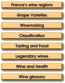Wine navigation